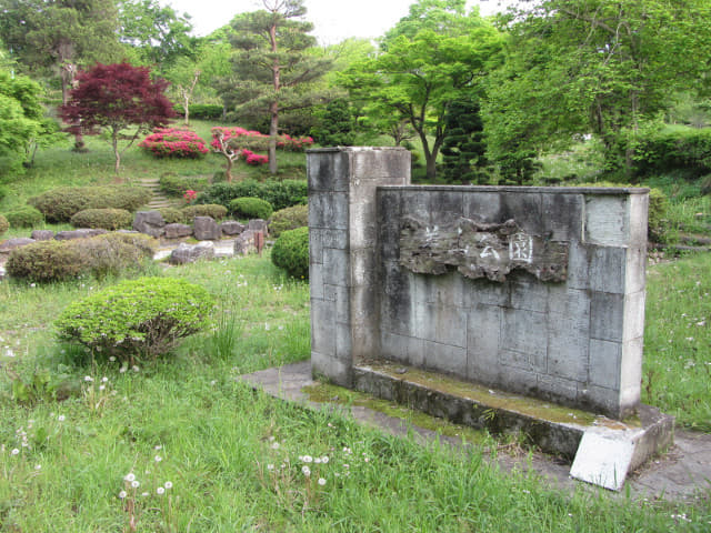 羊山公園 Antioch Park 紅果蒲公英花田 埼玉縣秩父市