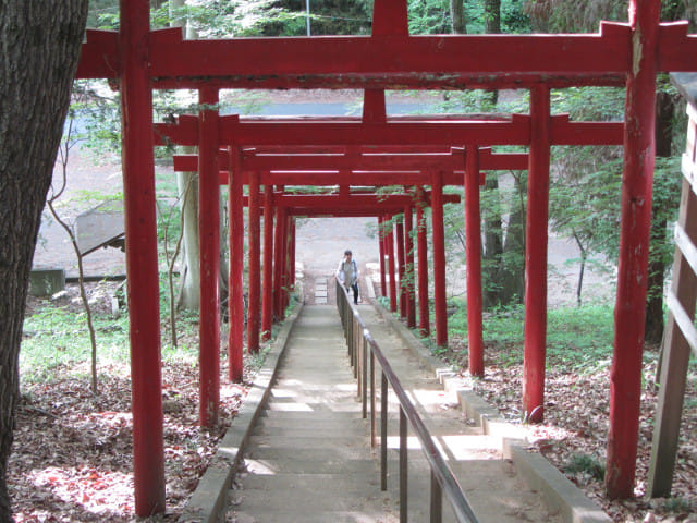 羊山公園 冒険の森 わんぱく広場 鳥居出入口 埼玉縣秩父市