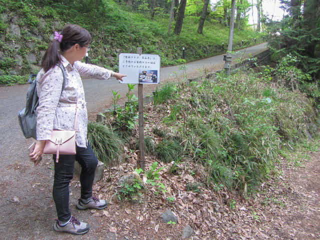 羊山公園 餐廳 埼玉縣秩父市