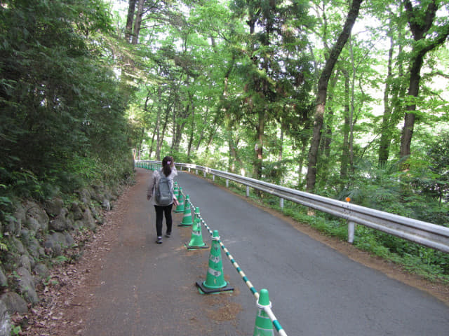 羊山公園 埼玉縣秩父市