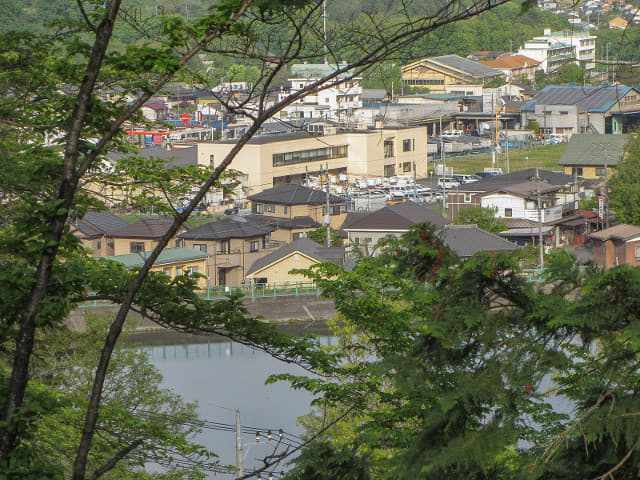 羊山公園 見晴らしの丘 (見晴之丘) 俯瞰秩父市