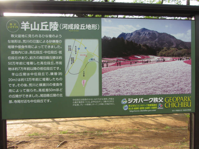 羊山公園 羊山丘陵 (河成段丘地形)形成過程