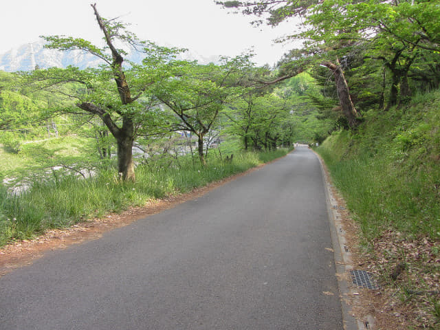 羊山公園 見晴らしの丘登山路