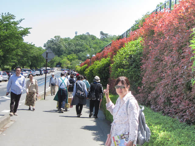 栃木縣．足利花卉公園 入口