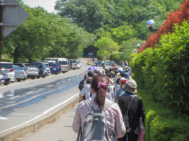 栃木縣．足利花卉公園 入口