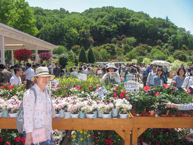 栃木縣．足利花卉公園花市