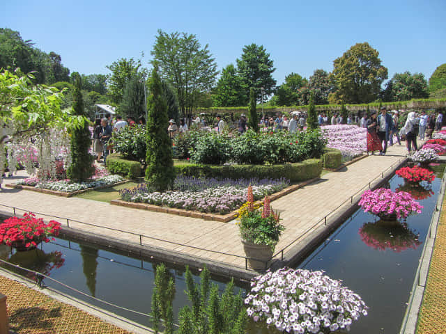 栃木縣．足利花卉公園