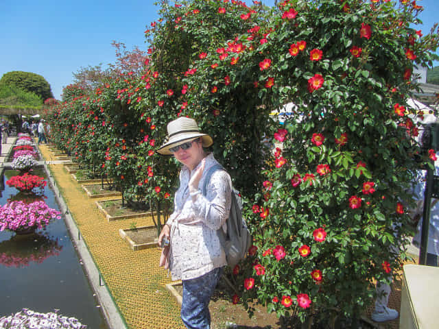 栃木縣．足利花卉公園