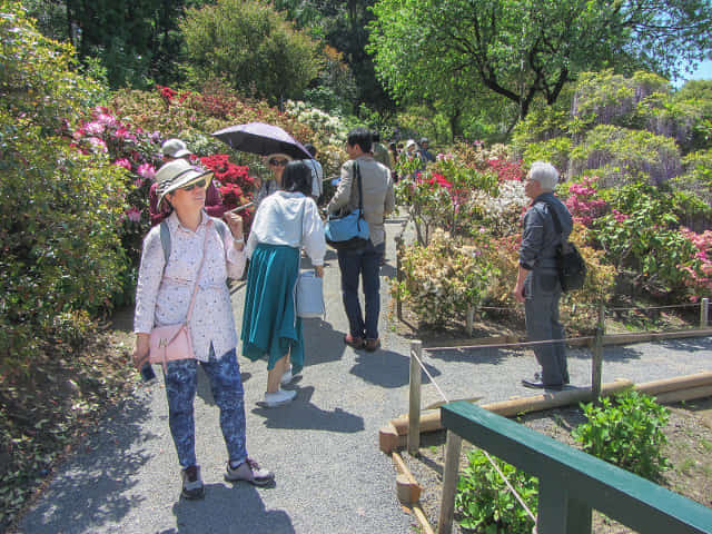 栃木縣．足利花卉公園