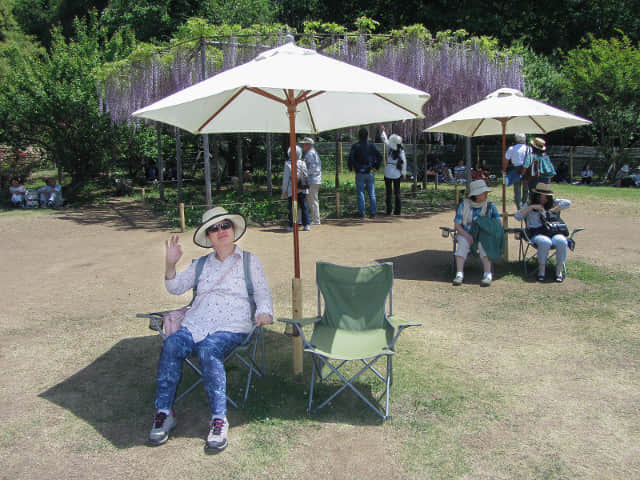 足利花卉公園 休憩草坪