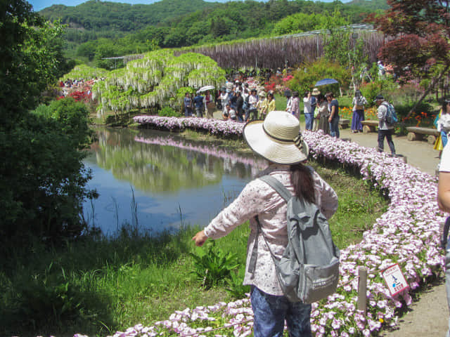 足利花卉公園