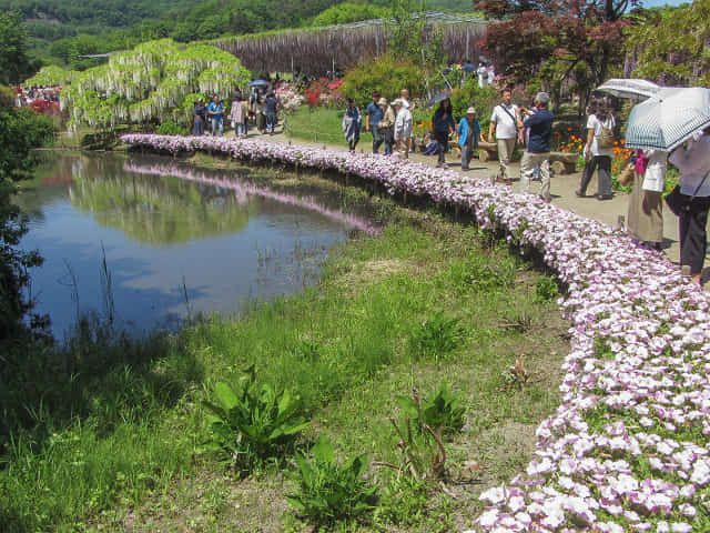 足利花卉公園