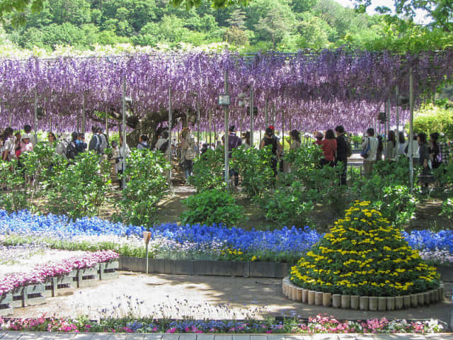 足利花卉公園