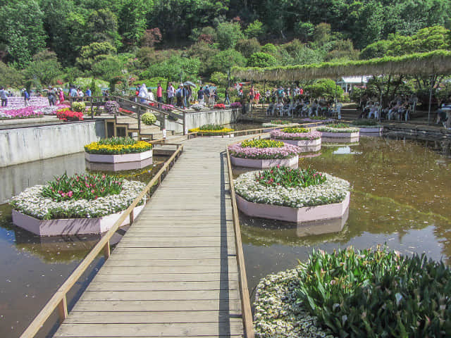 足利花卉公園 水上花壇