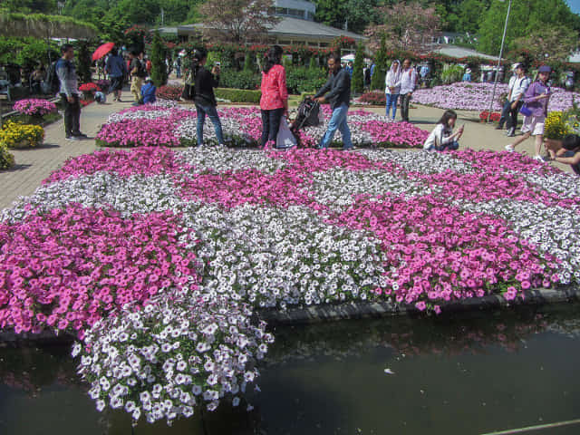 足利花卉公園 花圃