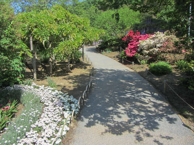 足利花卉公園