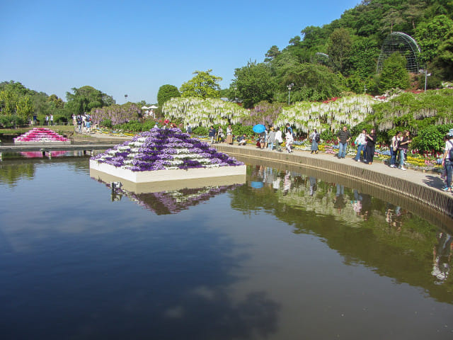 足利花卉公園 水上花壇