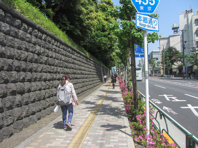 JR 山手線．駒込駅步行到 東京舊古河庭園 本鄉通り 本鄉通り