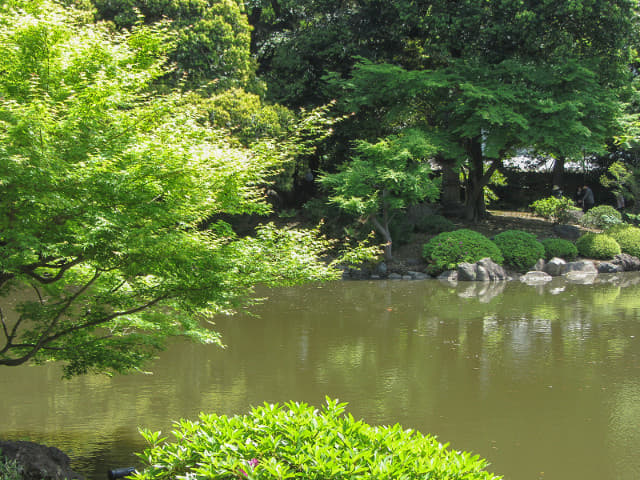 舊古河庭園．日本迴遊式庭園