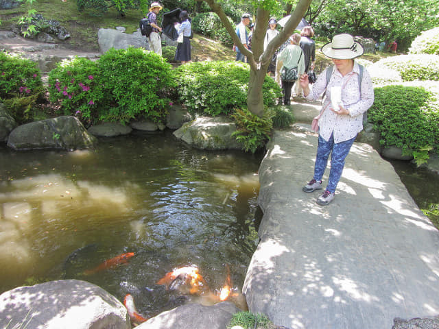 舊古河庭園．日本迴遊式庭園