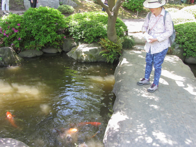 舊古河庭園．日本迴遊式庭園