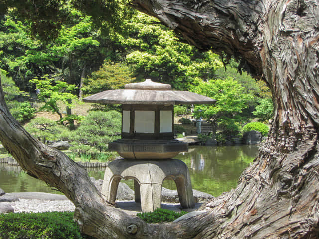 舊古河庭園．日本迴遊式庭園