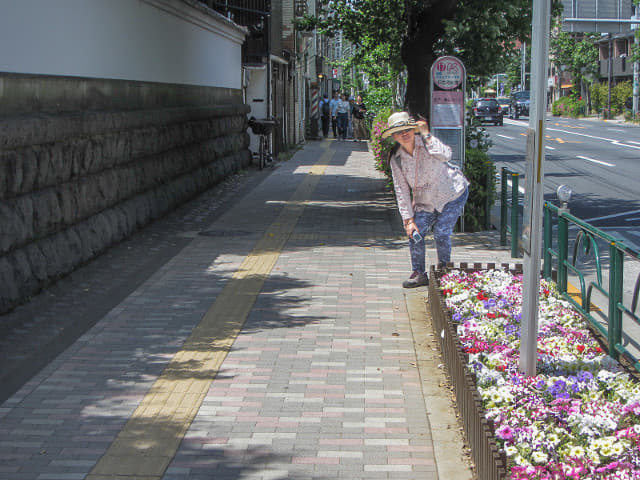 東京．舊古河庭園 附近街道