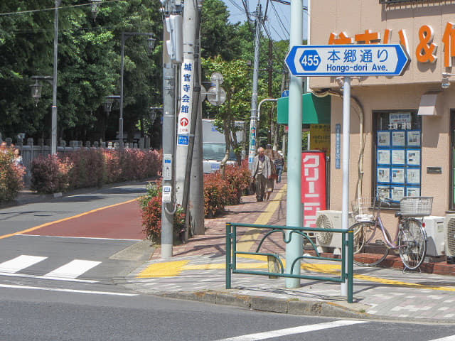 東京 本鄉通り