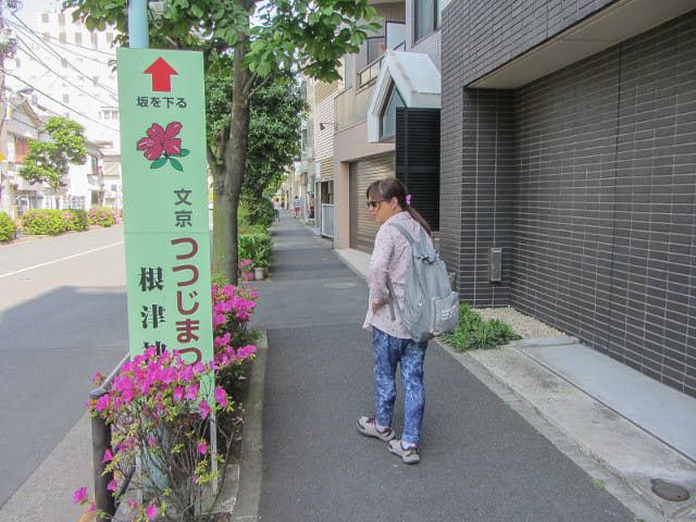 東京地下鐵．南北線 東大前駅步行往根津神社