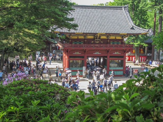 東京．根津神社