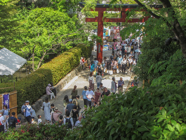 東京．根津神社