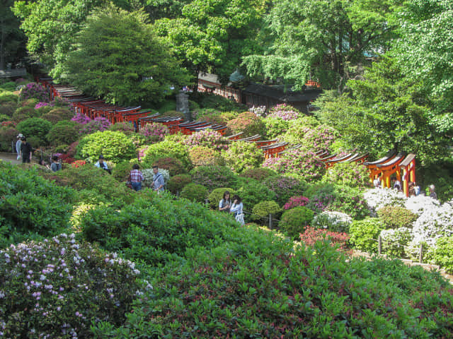 根津神社 紅色鳥居隧道