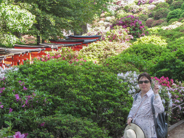 根津神社 杜鵑花園區