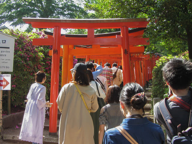 根津神社 紅色鳥居隧道