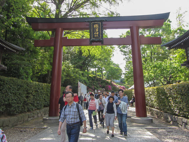 東京．根津神社 鳥居出入口