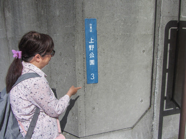 東京．文京區 不忍通り 走往上野公園