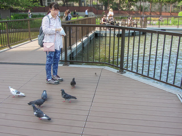 東京 上野公園 不忍池