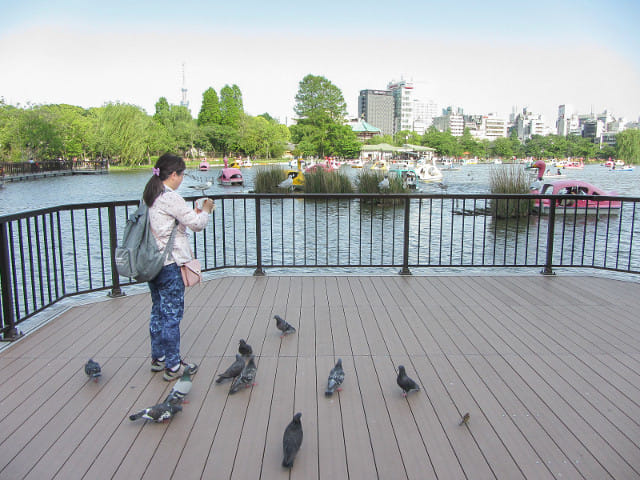 東京 上野公園 不忍池