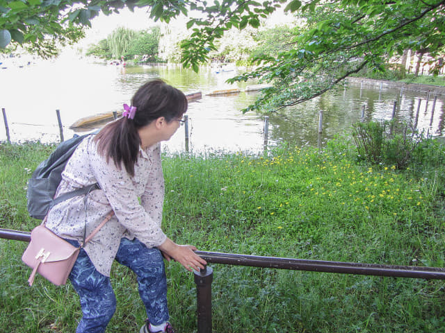 東京 上野公園 不忍池