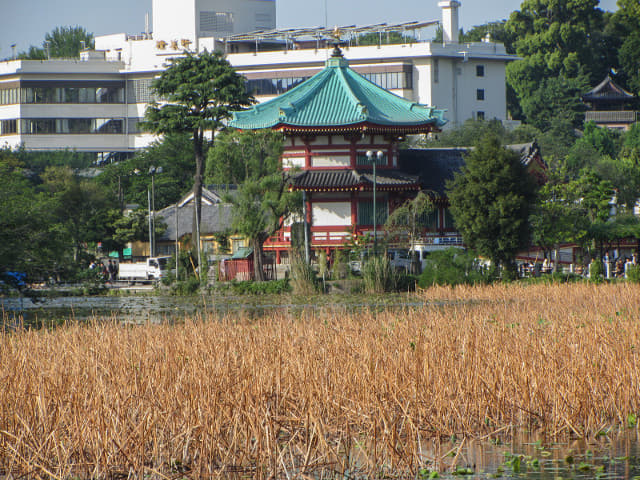 東京 上野公園