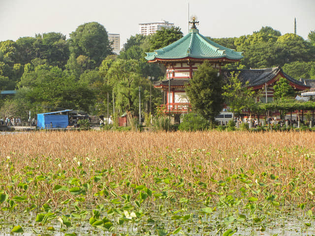 東京 上野公園 不忍池弁天堂