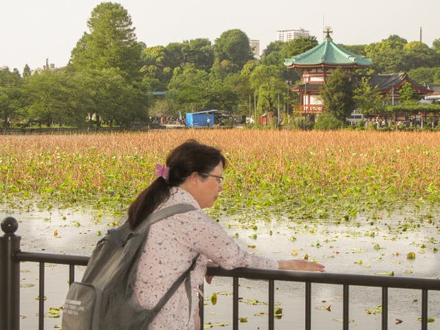 東京 上野公園 不忍池弁天堂