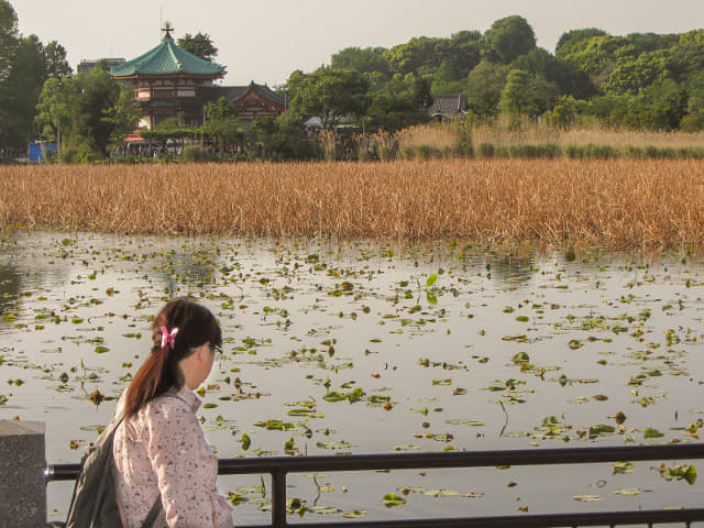 東京 上野公園 不忍池弁天堂