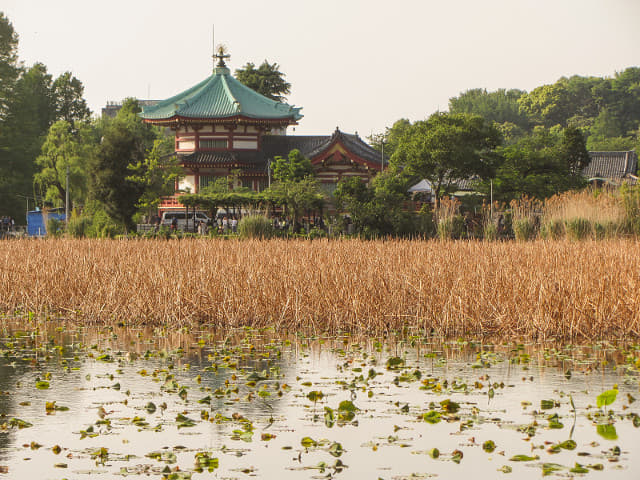 東京 上野公園 不忍池弁天堂